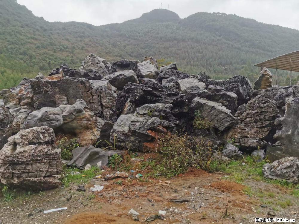 风景石、假山石大量有货，有需要的欢迎联系 - 新手上路 - 香港生活社区 - 香港28生活网 hk.28life.com