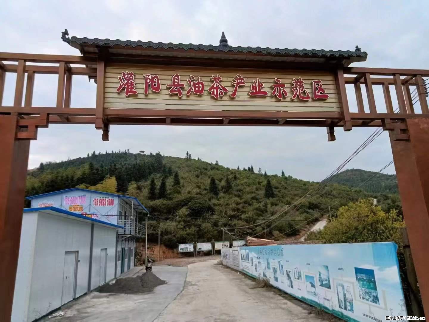 【灌阳县油茶产业示范区】一个有着充实的精神生活的人,对待身外之物自会有一种淡泊的态度 - 美食天地 - 香港生活社区 - 香港28生活网 hk.28life.com