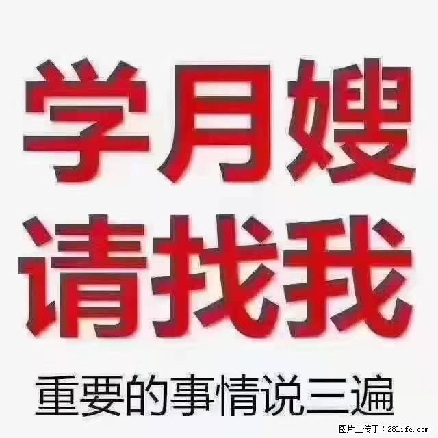 【招聘】月嫂，上海徐汇区 - 职场交流 - 香港生活社区 - 香港28生活网 hk.28life.com