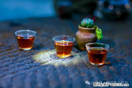 时间果百年古树2025年春红茶 - 购物交流 - 香港生活社区 - 香港28生活网 hk.28life.com