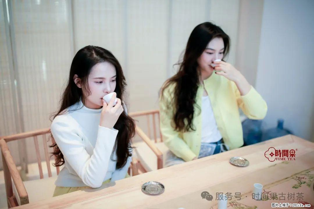 时间果百年古树龙珠普洱生茶 - 购物交流 - 香港生活社区 - 香港28生活网 hk.28life.com