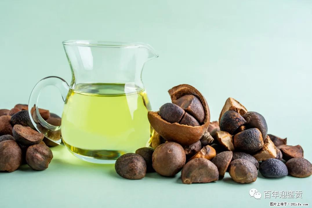 世界没有真相,只有认知,最好的食用油是中国的山茶油! - 香港生活资讯 - 香港28生活网 hk.28life.com