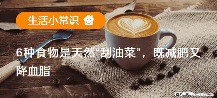 【生活小常识】6种食物是天然“刮油菜”,既减肥又降血脂 - 香港生活资讯 - 香港28生活网 hk.28life.com