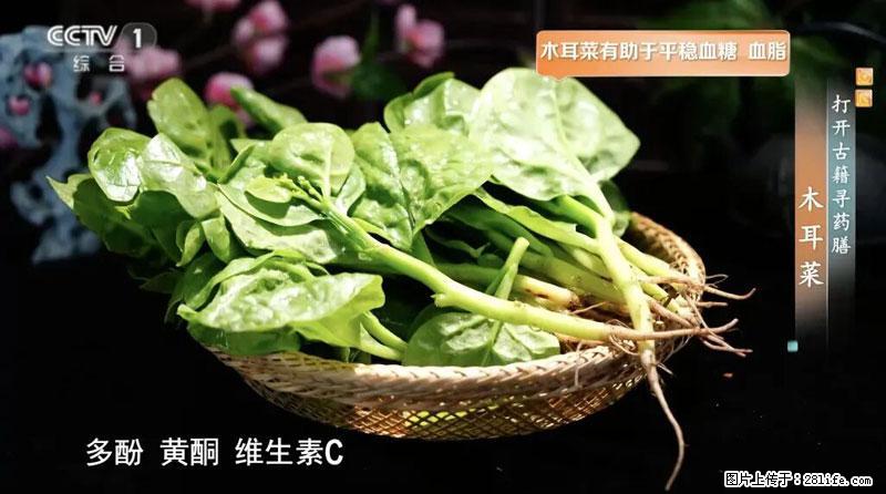 比牛奶补钙还厉害！凉血解毒、稳血糖...这菜冬天必吃，很多人却当草 - 香港生活资讯 - 香港28生活网 hk.28life.com