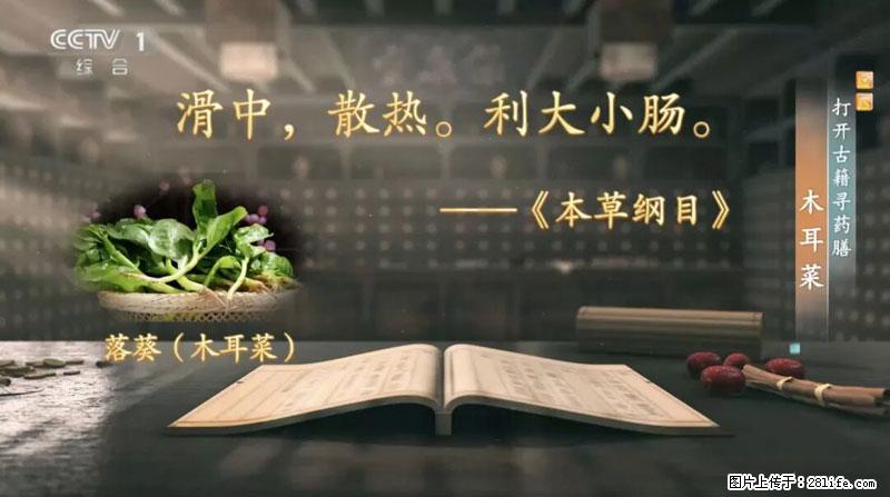 比牛奶补钙还厉害！凉血解毒、稳血糖...这菜冬天必吃，很多人却当草 - 香港生活资讯 - 香港28生活网 hk.28life.com