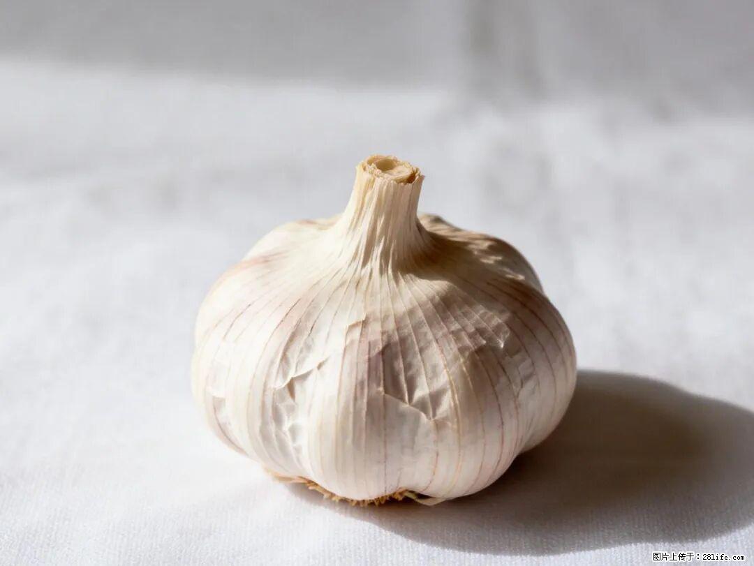 关于大蒜，除了“天然抗生素”，这4个谣言更该警惕! - 香港生活资讯 - 香港28生活网 hk.28life.com