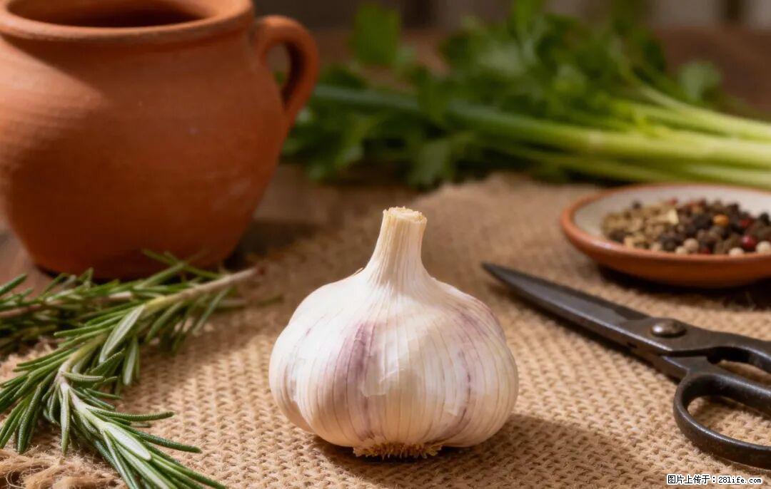 关于大蒜，除了“天然抗生素”，这4个谣言更该警惕! - 香港生活资讯 - 香港28生活网 hk.28life.com