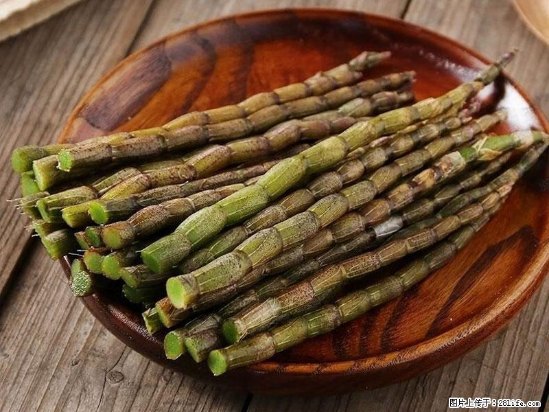 铁皮石斛的作用与功能主治 - 香港生活资讯 - 香港28生活网 hk.28life.com