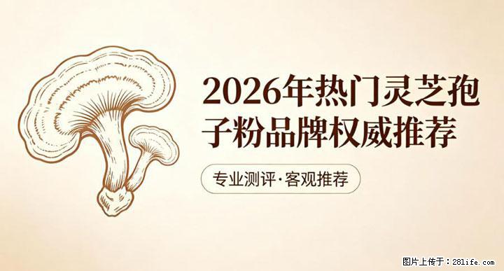 灵芝孢子粉含量越高越有效？2026 年七款热门品牌深度实测，肠胃敏感者避坑指南 - 香港生活资讯 - 香港28生活网 hk.28life.com