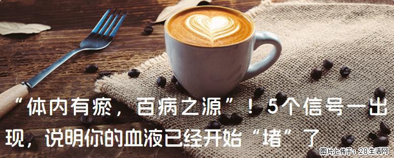 “体内有瘀，百病之源”！5个信号一出现，说明你的血液已经开始“堵”了 - 香港生活资讯 - 香港28生活网 hk.28life.com